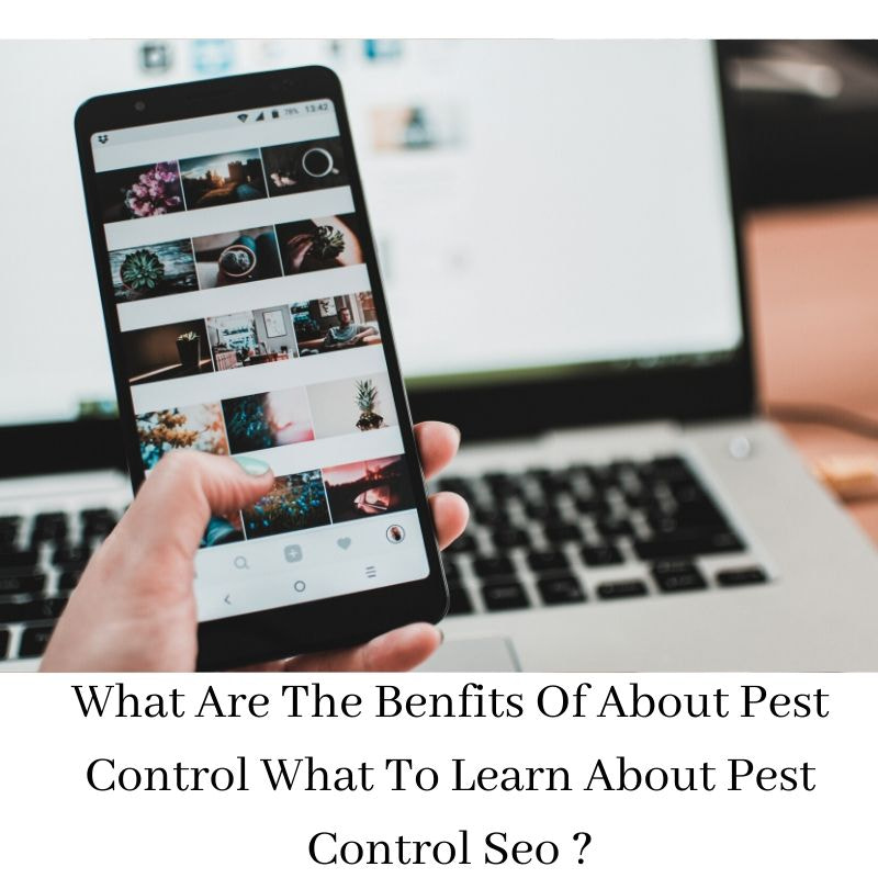 What Are The Benefits Of About Pest Control What T