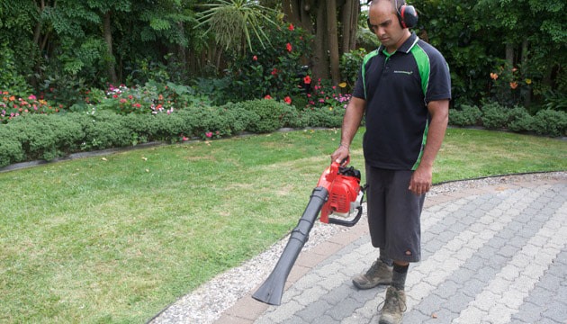 Lawn Mowing Auckland