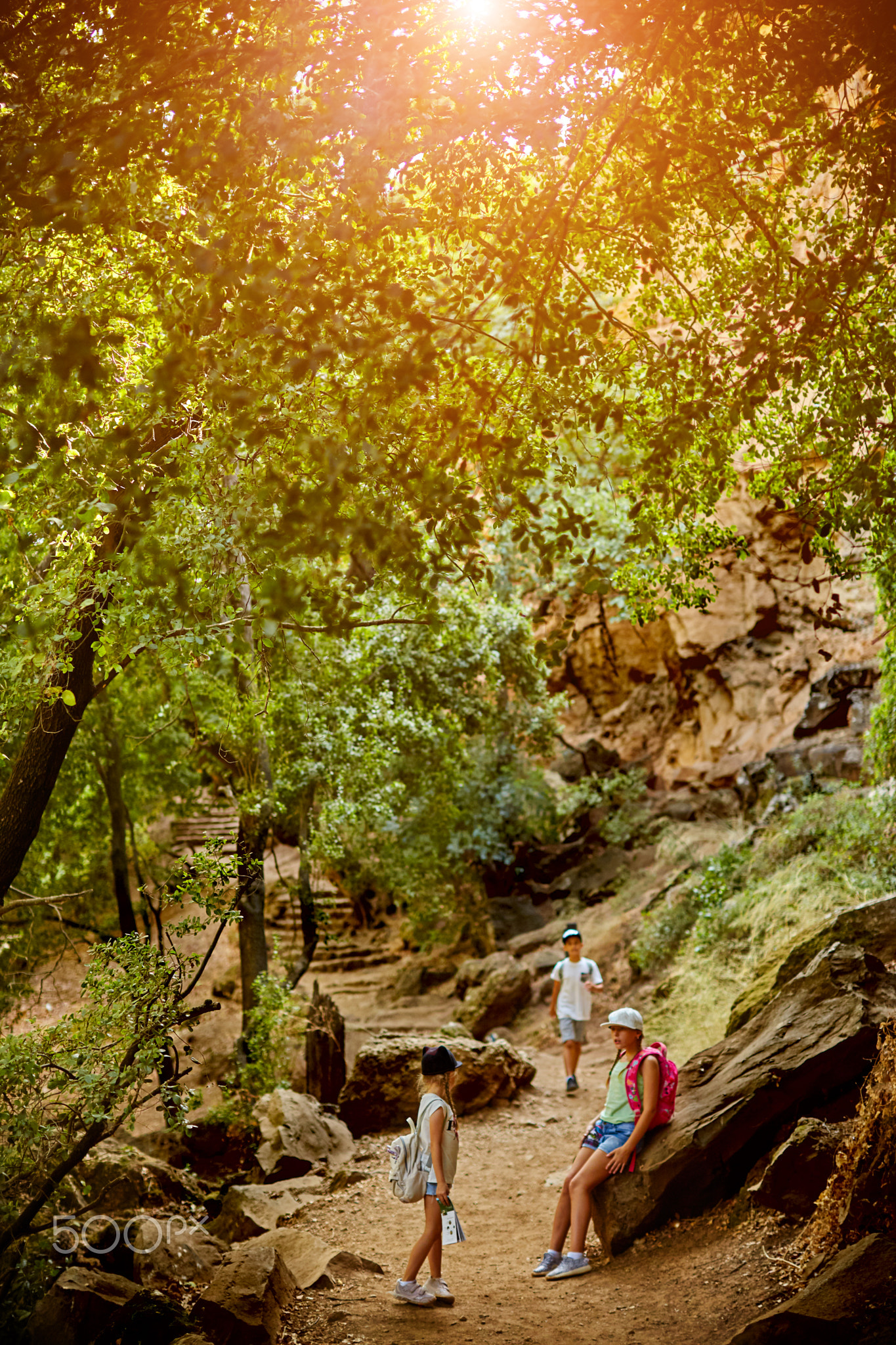 three children are walking in the autumn forest