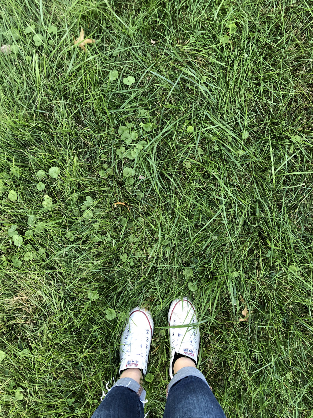 Untitled by Jacqueline and Kevin Reape on 500px.com