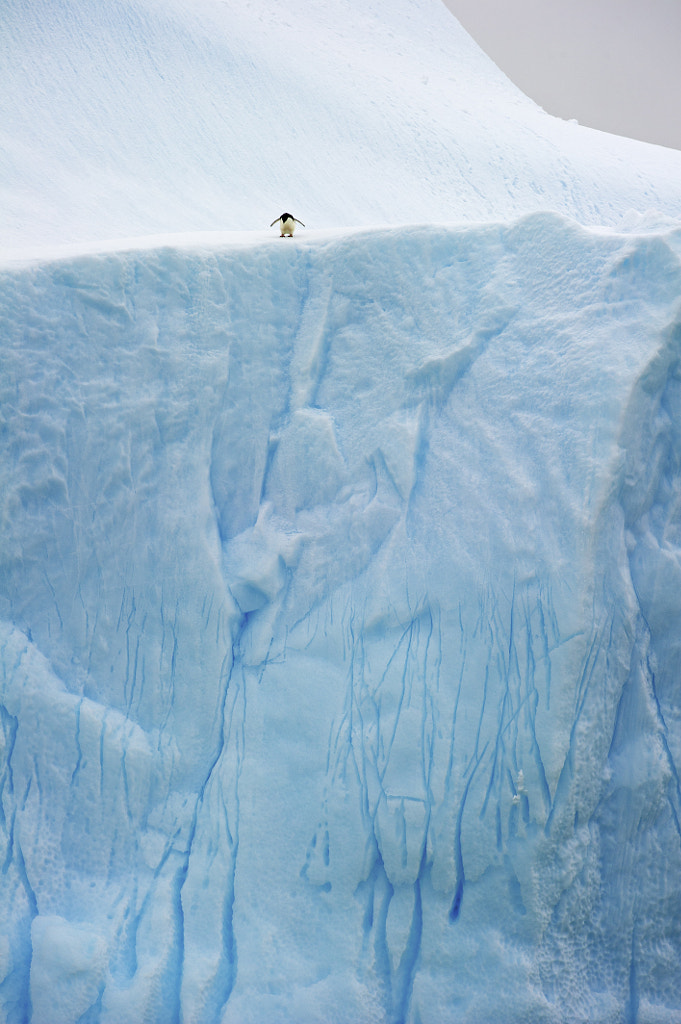 Nope! Not this way... by Nina Stavlund on 500px.com