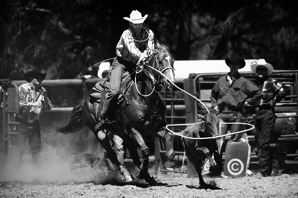 Gotcha!!! by Paul Amyes on 500px.com
