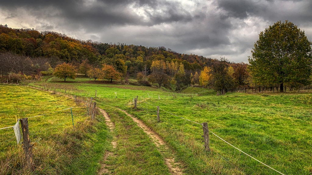 weg by dirk derbaum on 500px.com