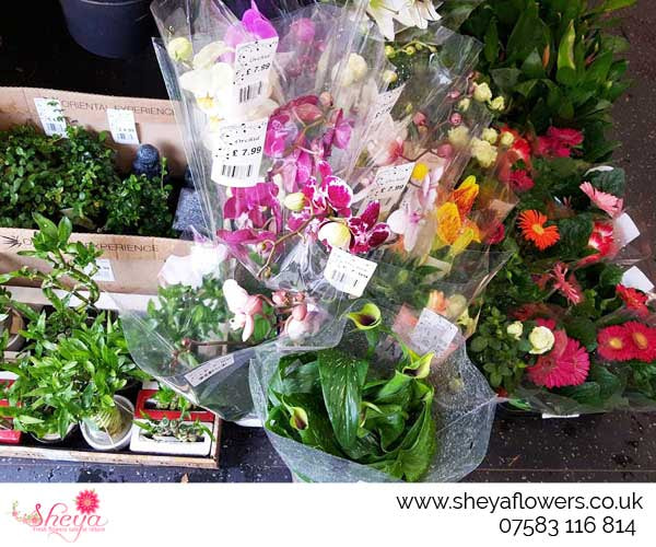 SHEYA FLOWERS