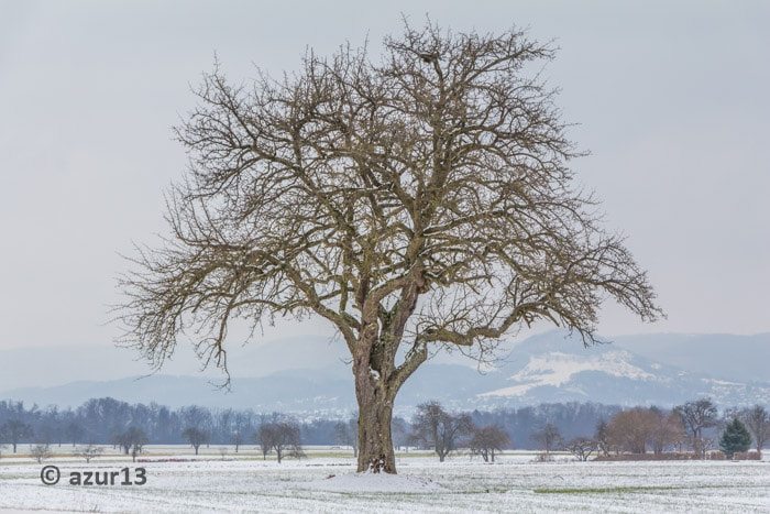 v2?sig=7e7aef7768912d9c1006aad748ed8474c40a432ebf31891d564ed3af3794b963