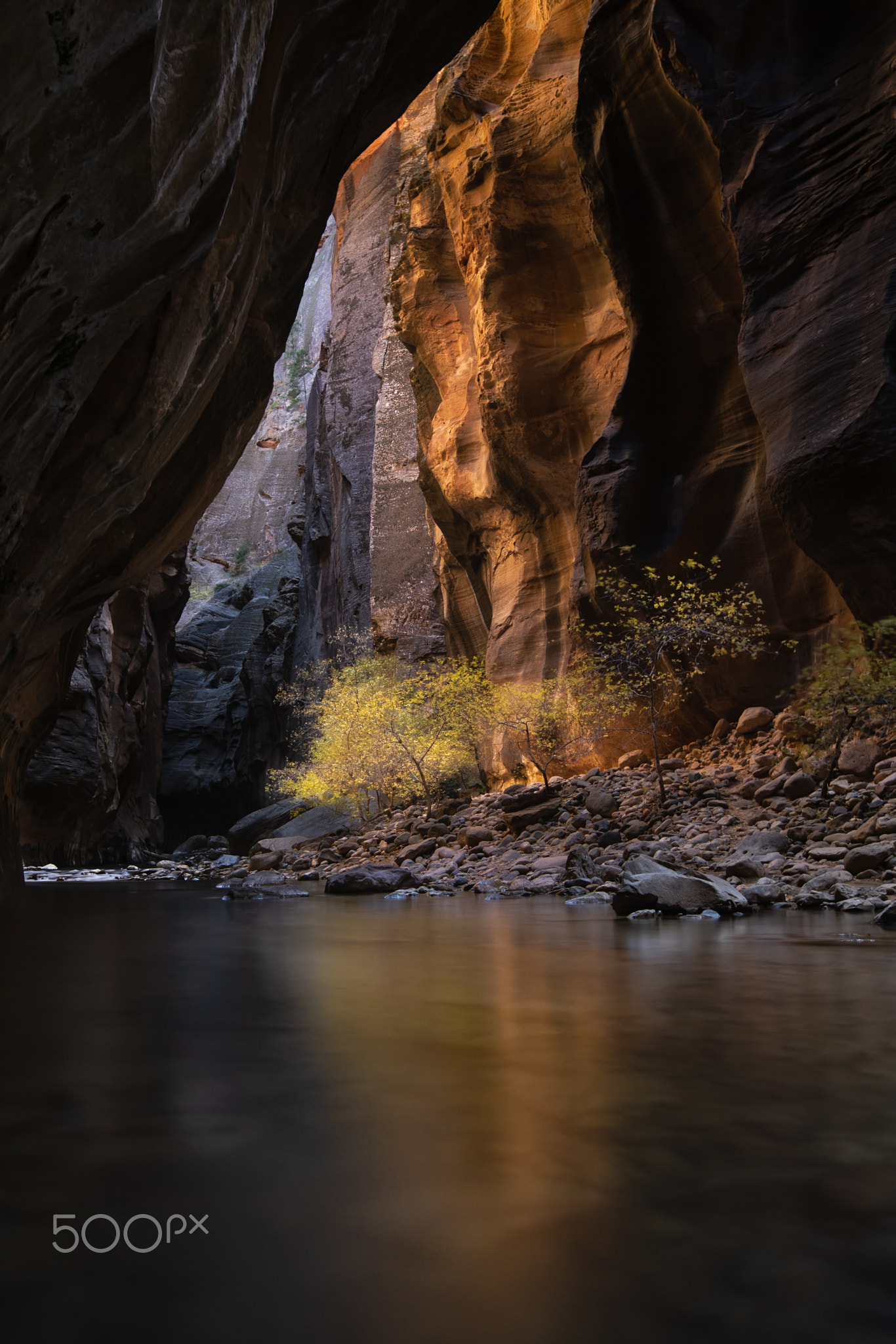 The Narrows at Zion National Park