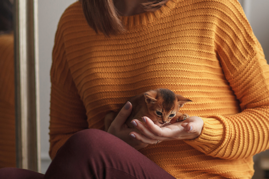 Best furry friend by Denis Ganenko on 500px.com