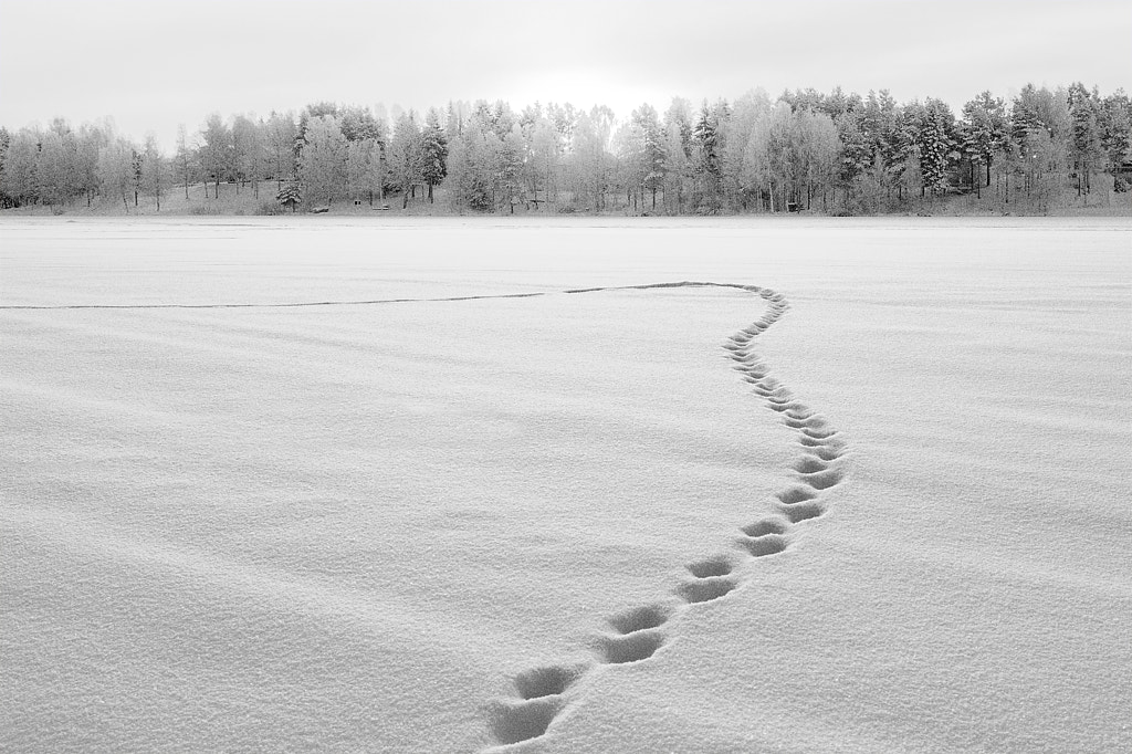 Walking in circles. Behache - iskustvo (nereal remix). Walking in circles. Замкнутый круг. Человек холит по кругу.
