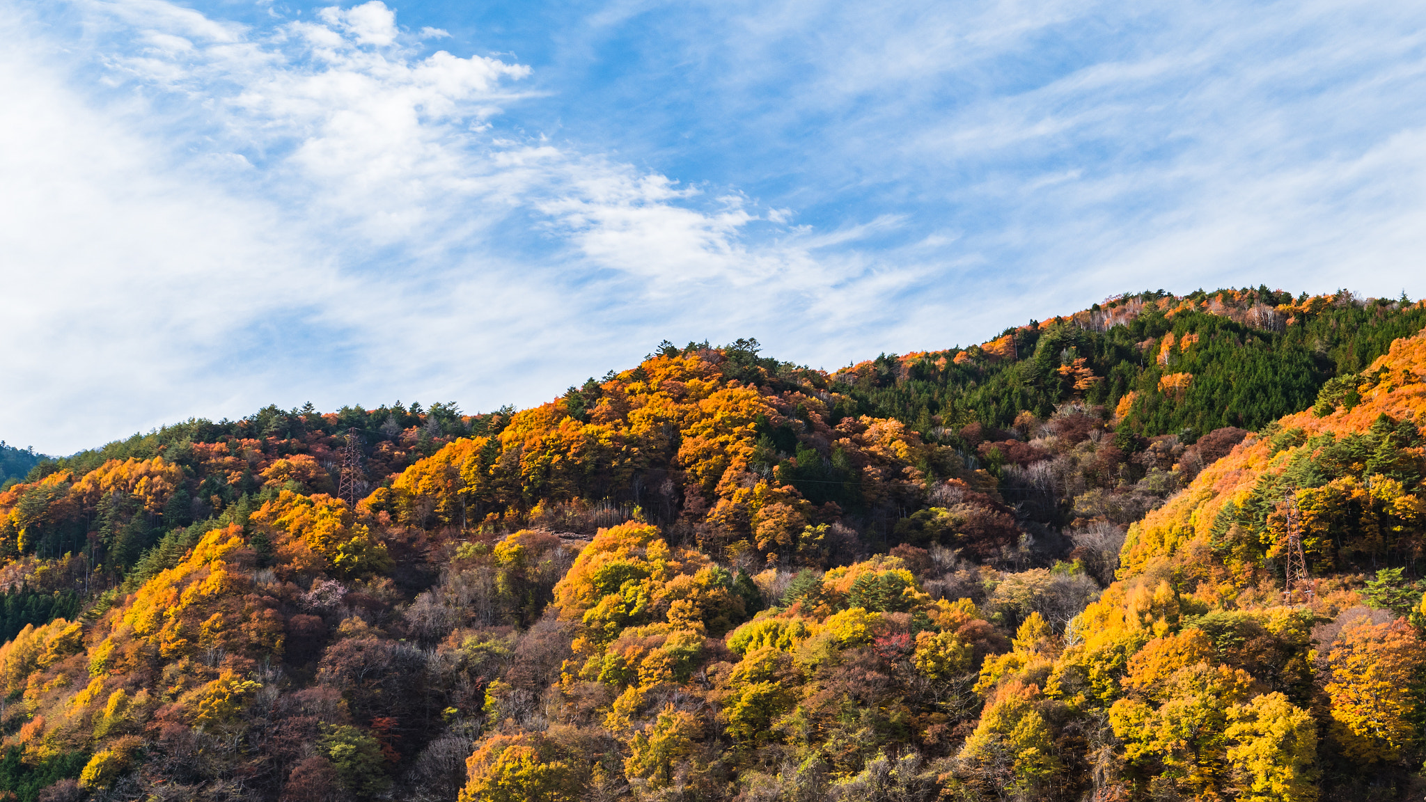 木曽路の紅葉