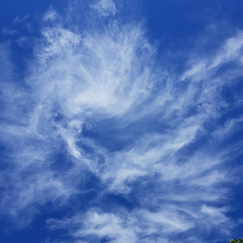 Windblown by Elizabeth Fitzgerald on 500px.com