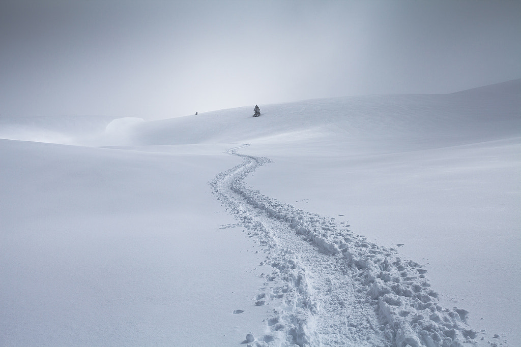 Snow by Vincent Favre on 500px.com