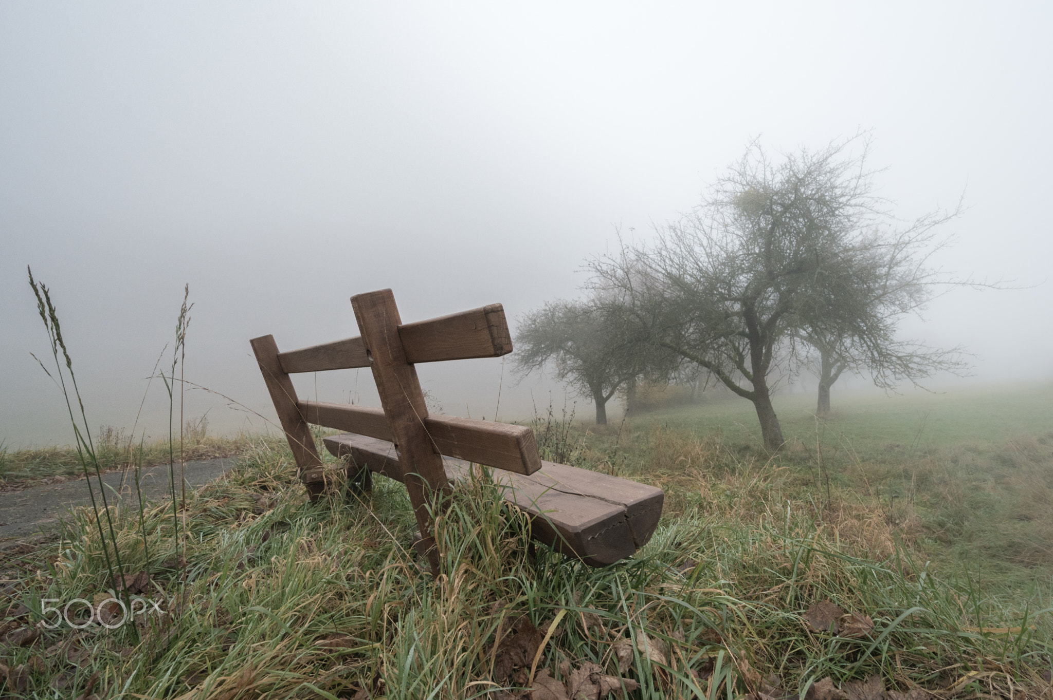 fog banks in autumn