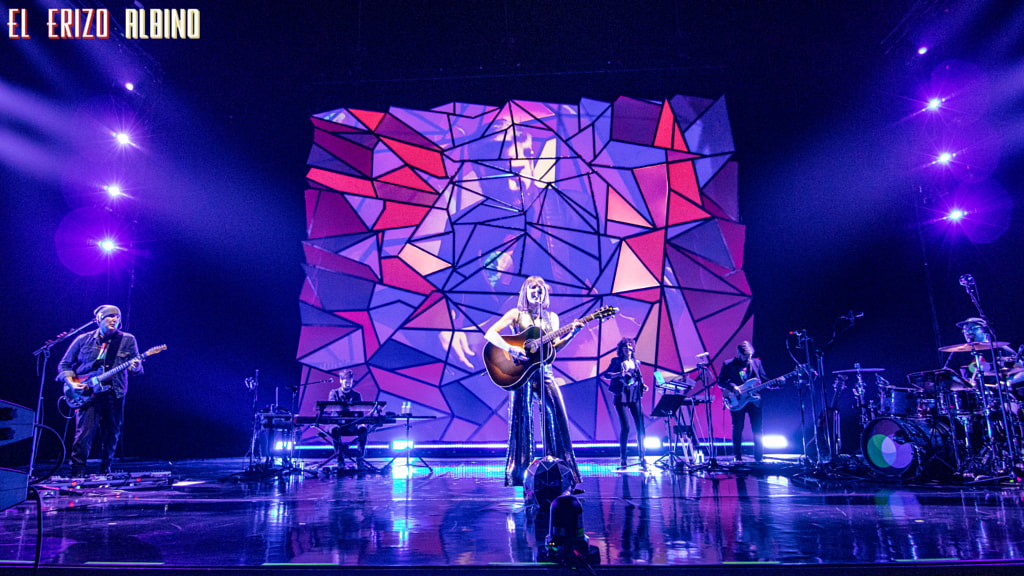 Amaral ( A Coruña, 02.11.201) by Erizo Albino on 500px.com