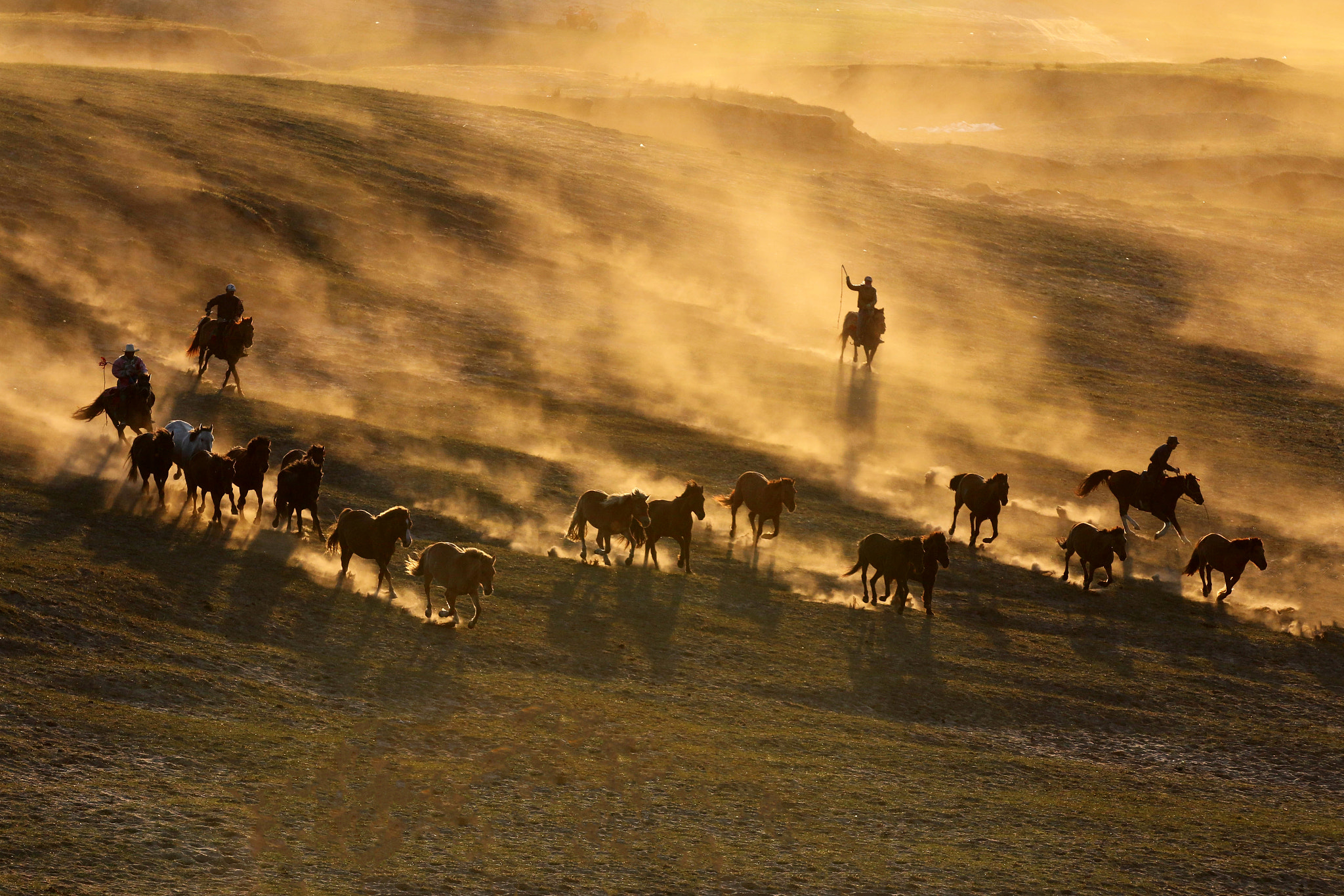 Mongolia Horses by Libby Zhang / 500px