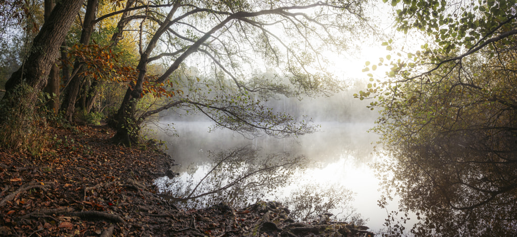 IMAGE: https://drscdn.500px.org/photo/1006985603/m%3D900/v2?sig=ece1f1309bb7e904b0bc3cd3095965dc2e1313b81aaa83f01396be24ac842053