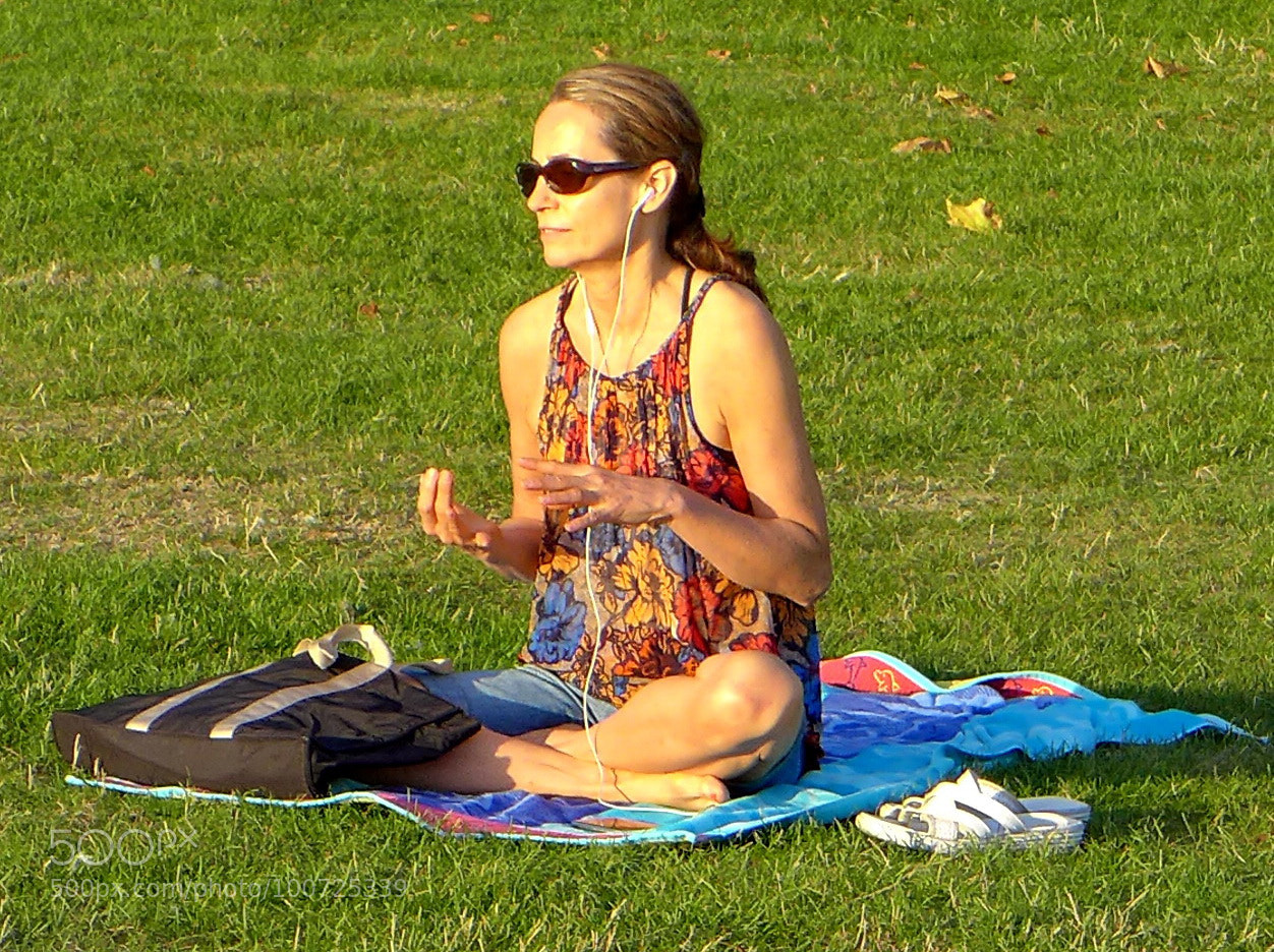 Panasonic Lumix DMC-LX7 sample photo. Crop photography