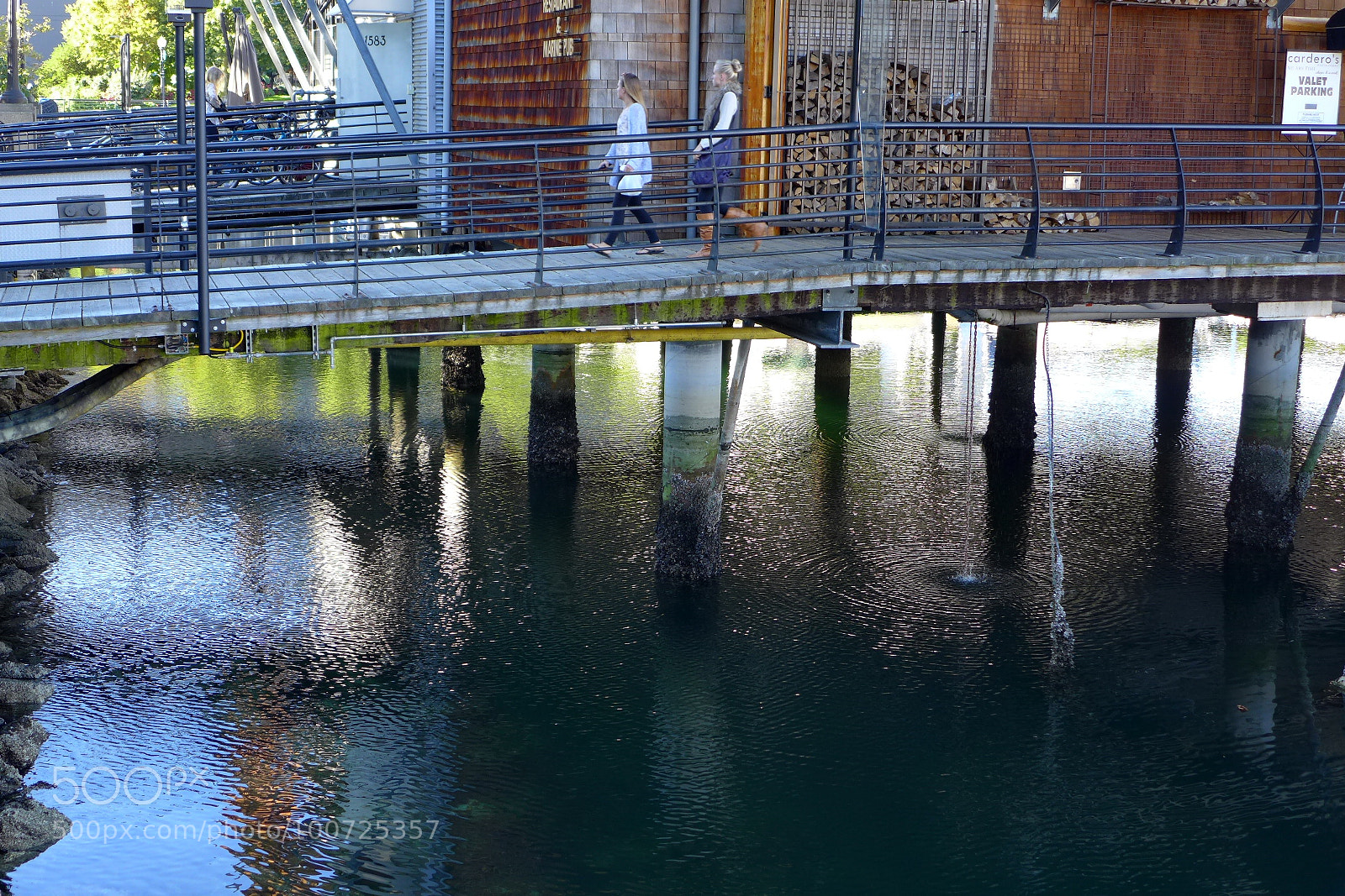 Panasonic Lumix DMC-LX7 sample photo. Untitled photography