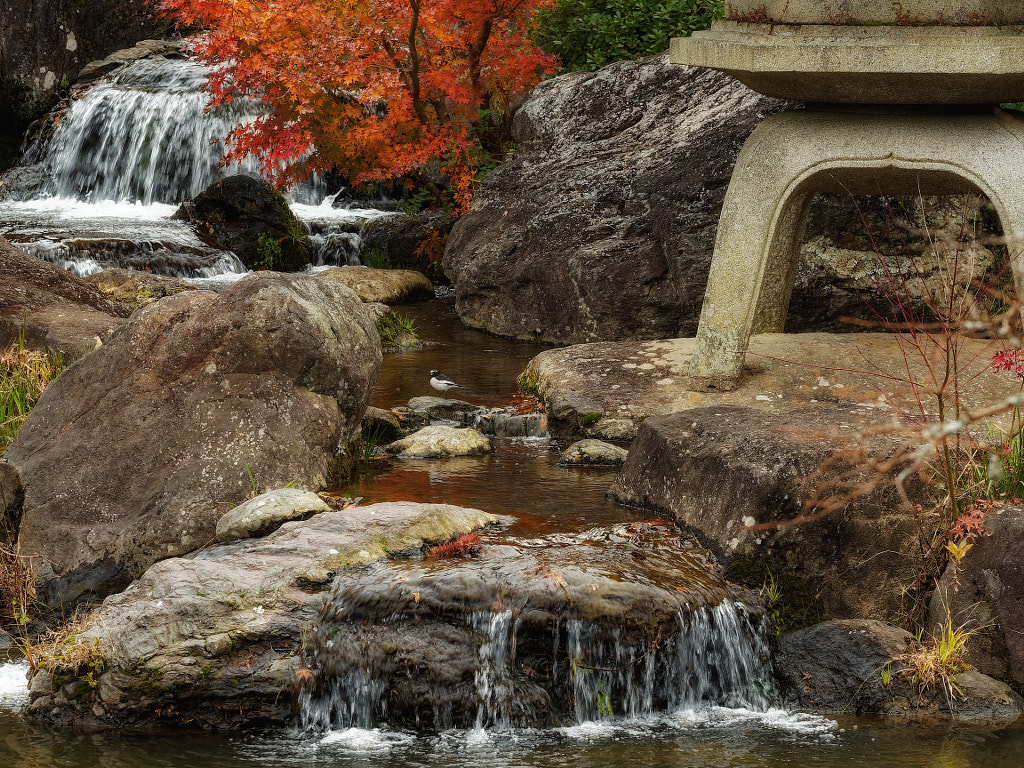 A Life in the Picturesque Garden by Alan Drake Haller on 500px.com