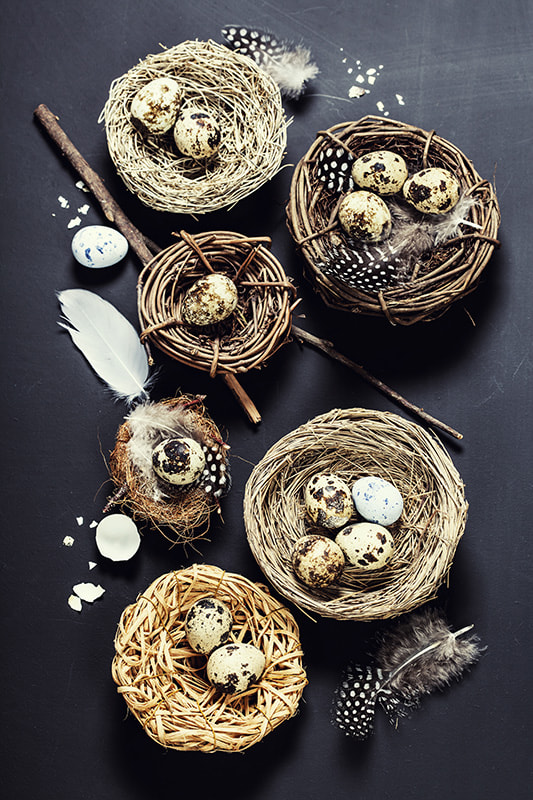 Easter by Natalia Klenova on 500px.com