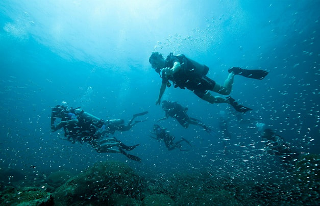 Explore Scuba Diving in Havelock packages with The Great Next