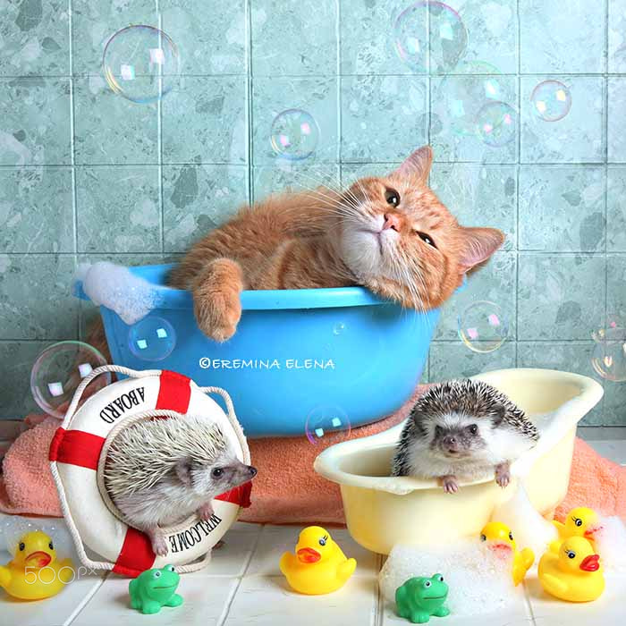 Hi guys! We have a soap bubble party! Join now!