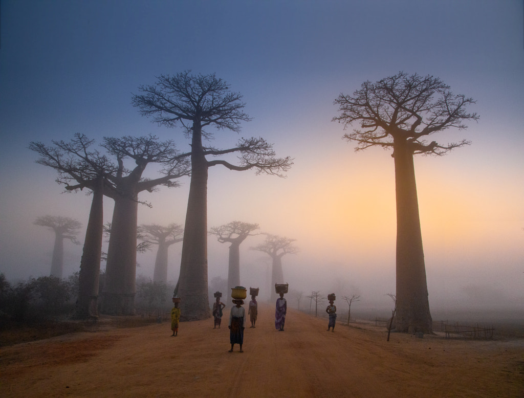 Un matin à Madagascar par Valérie Laney sur 500px.com
