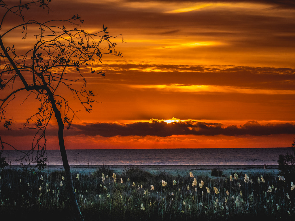 Sunrise by Javier Pascual on 500px.com