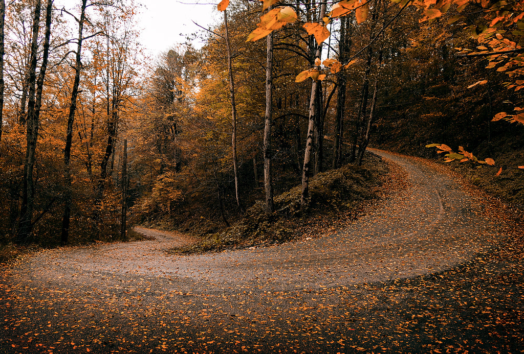 Autumn And The Road by danial niknam on 500px.com