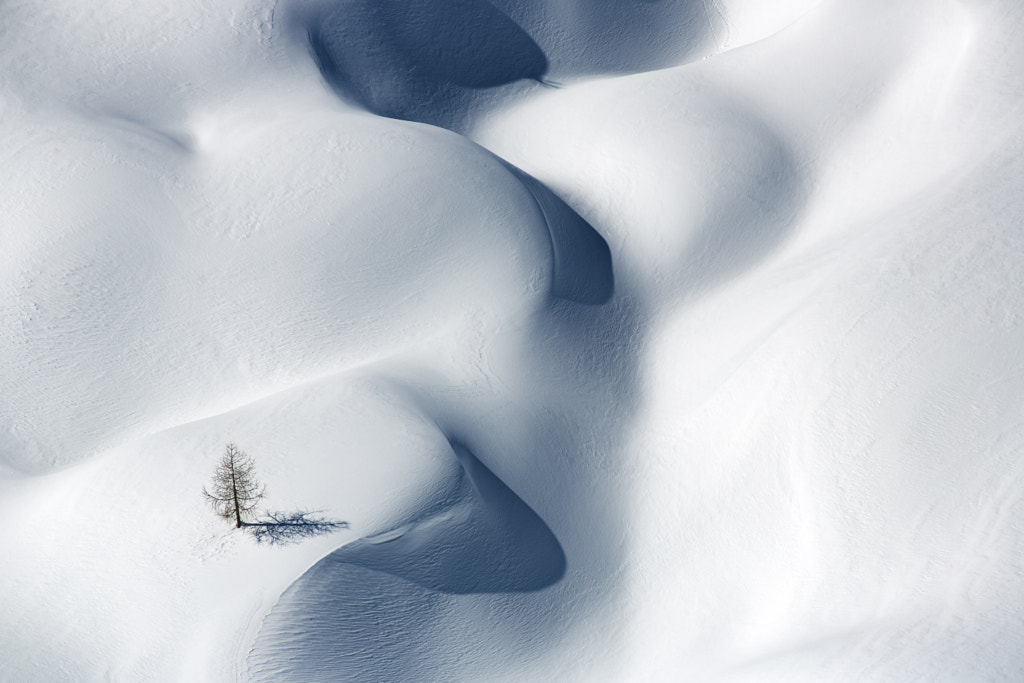 Winter Tree in Snow Magic by Jure Batagelj on 500px.com
