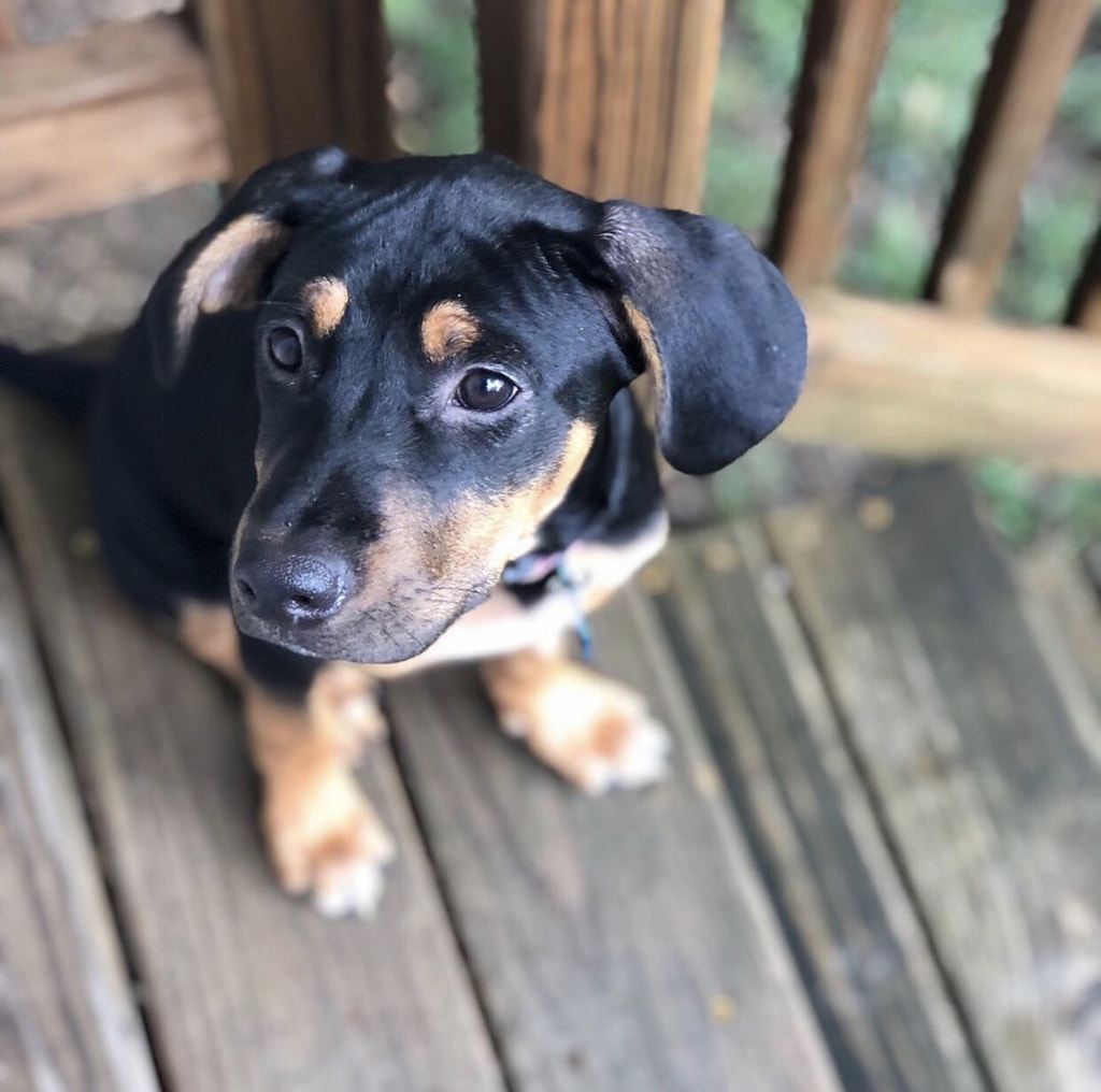 Untitled by Jacqueline and Kevin Reape on 500px.com