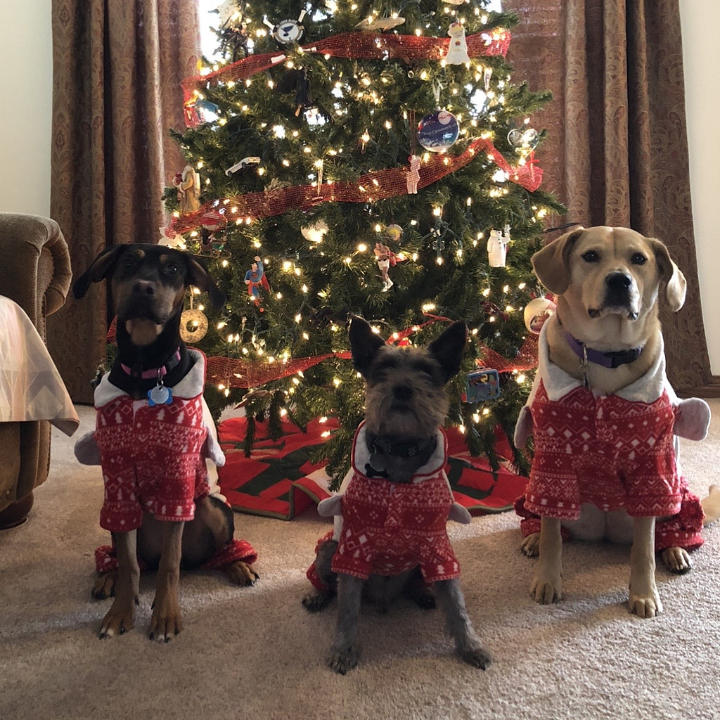 Untitled by Jacqueline and Kevin Reape on 500px.com