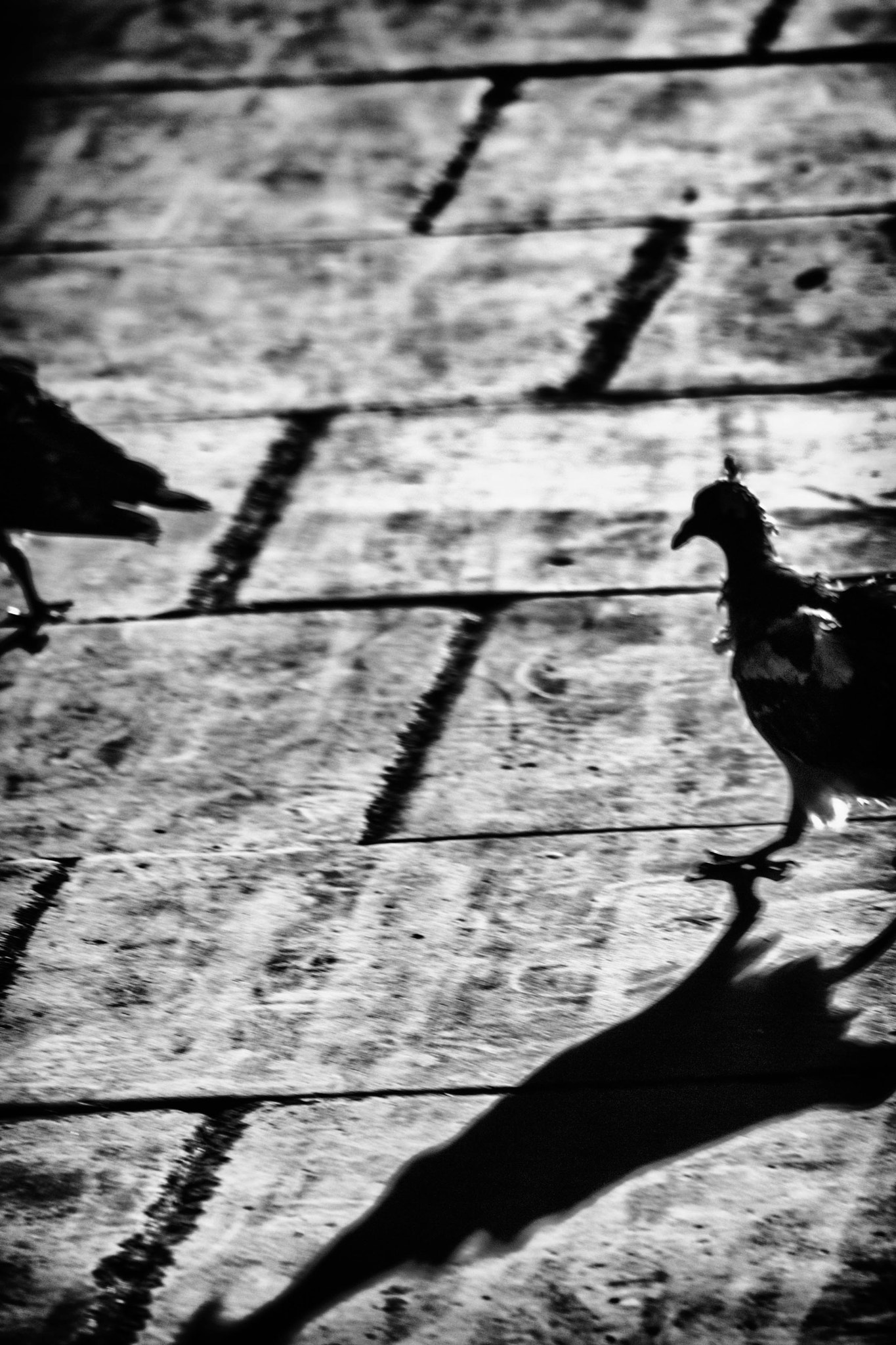 Panasonic Lumix DMC-G2 sample photo. Eon] [pidg photography