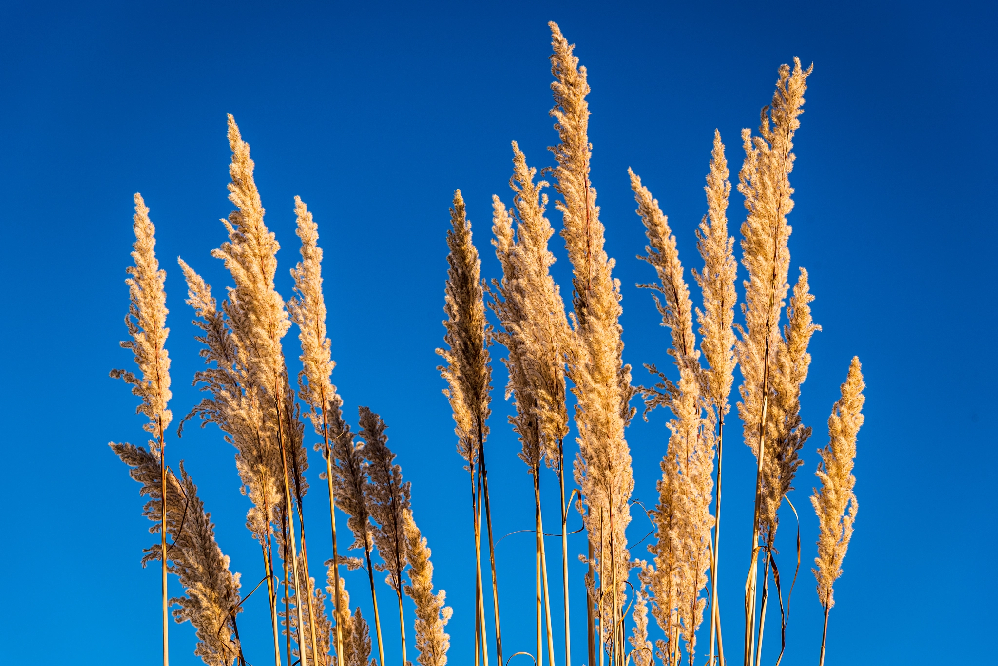 v2?sig=6e5325fde6b3dada263b6385b7e81344b98335f8997bc7d35ee026c7482a9298