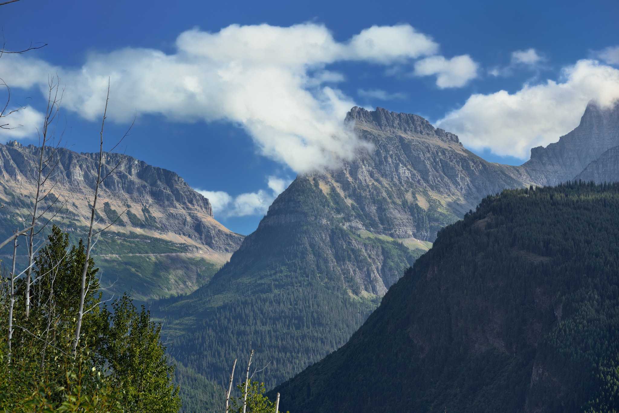 A Look Back to Logan Pass from The Loop