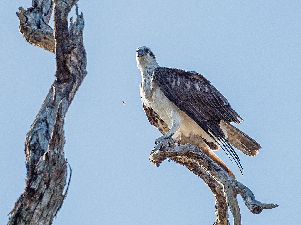 Yoondoordo by Paul Amyes on 500px.com