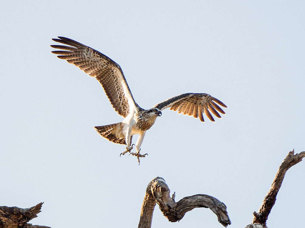 Yoondoordo by Paul Amyes on 500px.com