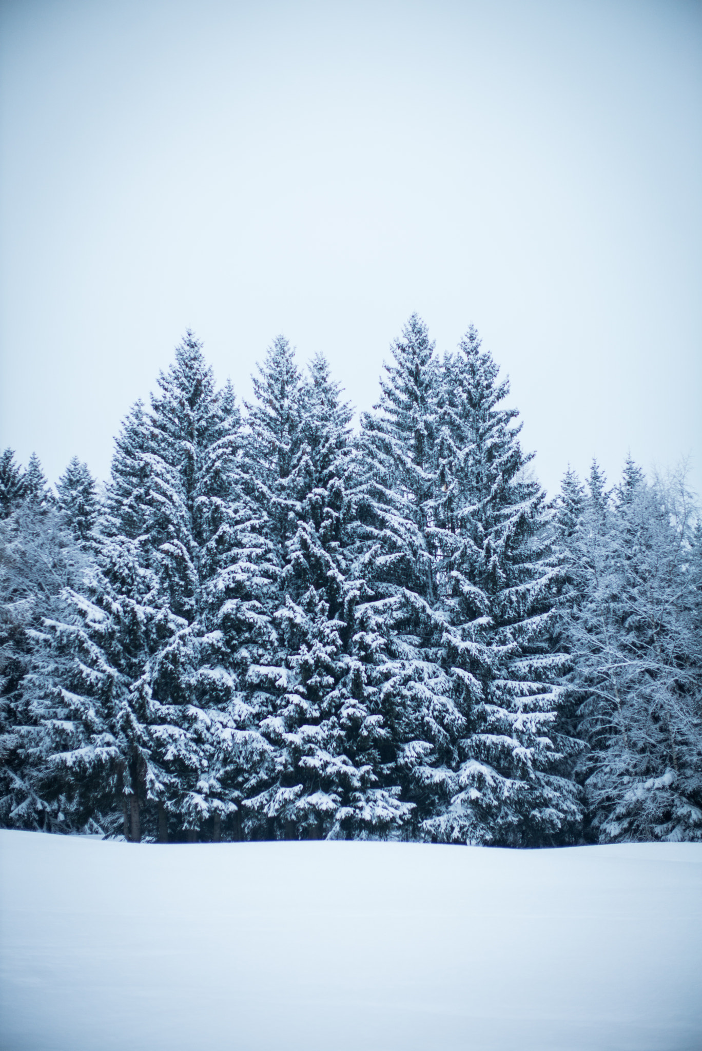 v2?sig=481758d7d0f00766c16b189ab5c232c489e706655976c6f0401a7e1668dc050b