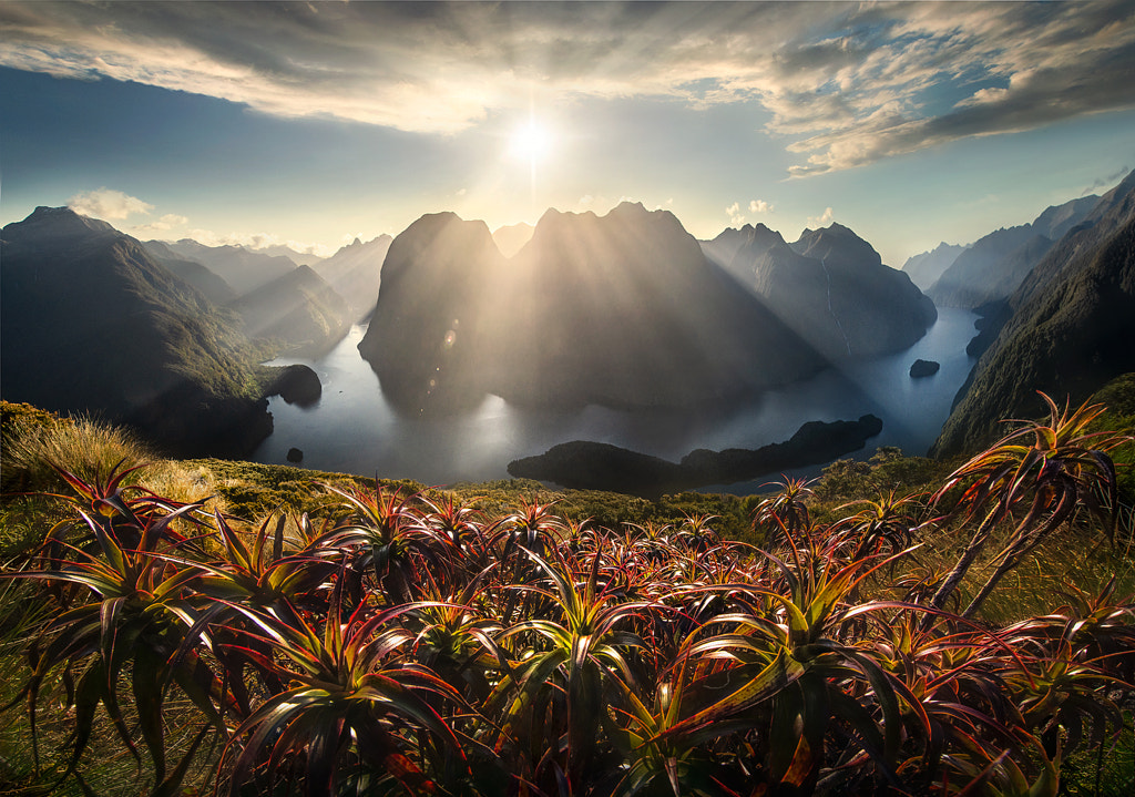 Wonder of the Fiords by Marc Adamus on 500px.com