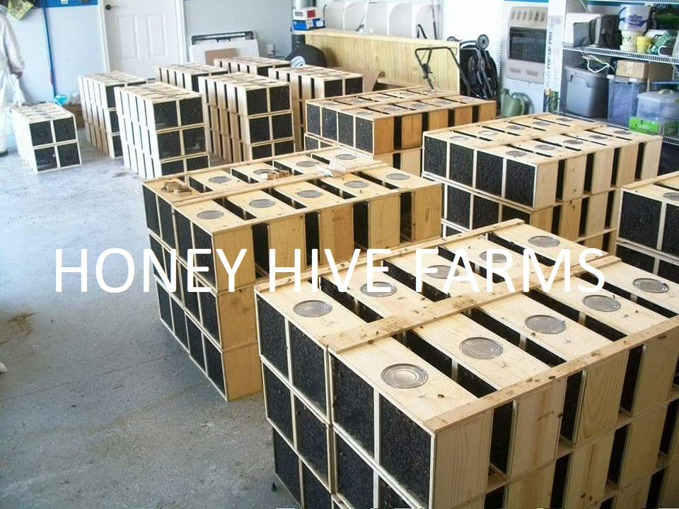 v2?sig=374cb45ede30f62664cda537b14fcbda1ab7ec2b9206b10d680f69aedf398150