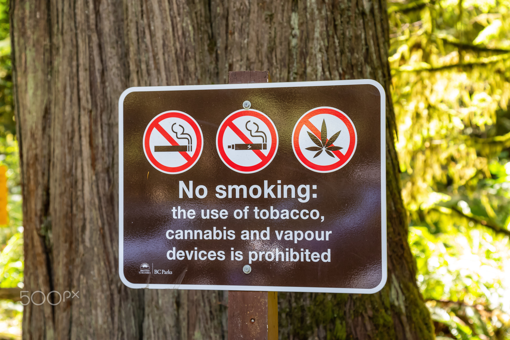 No Smoking Sign in a park during a sunny summer day