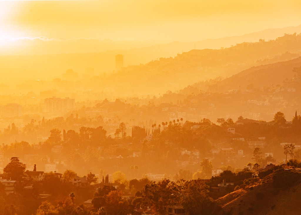 Hollywood Hills by Hayden Scott on 500px.com