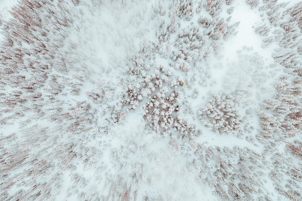 Jackson Hole, WY Overhead by Ryan Longnecker on 500px.com