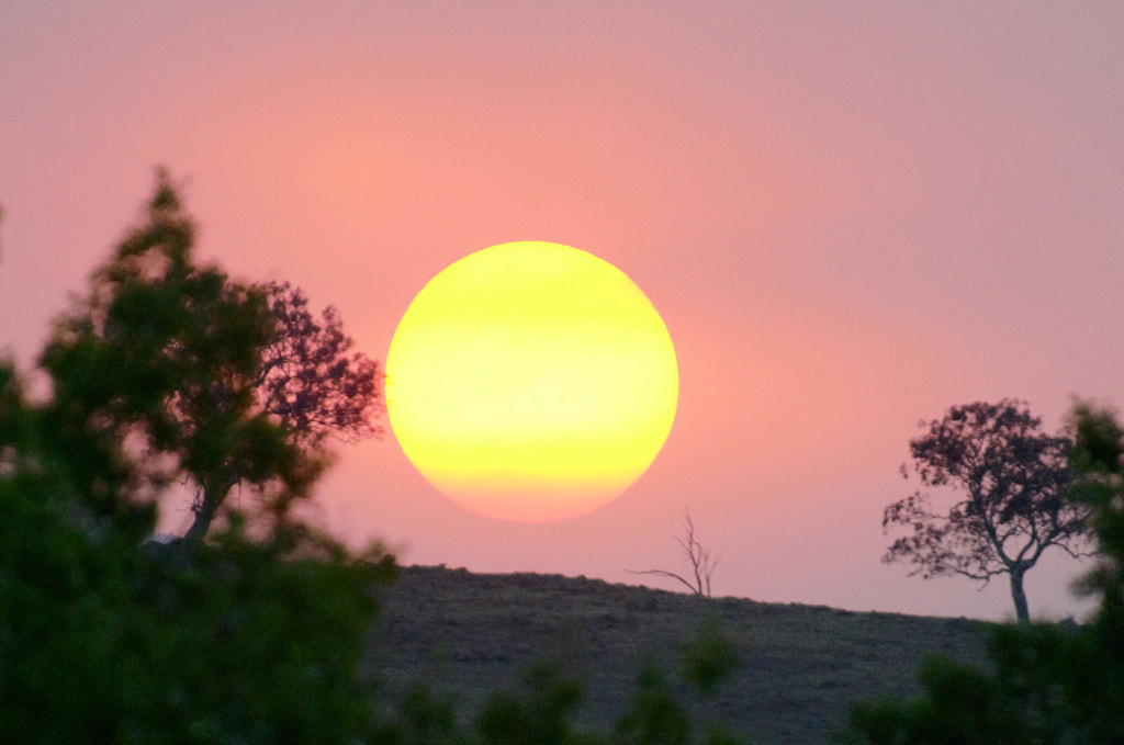 Smoky Sunset by Elizabeth Fitzgerald on 500px.com
