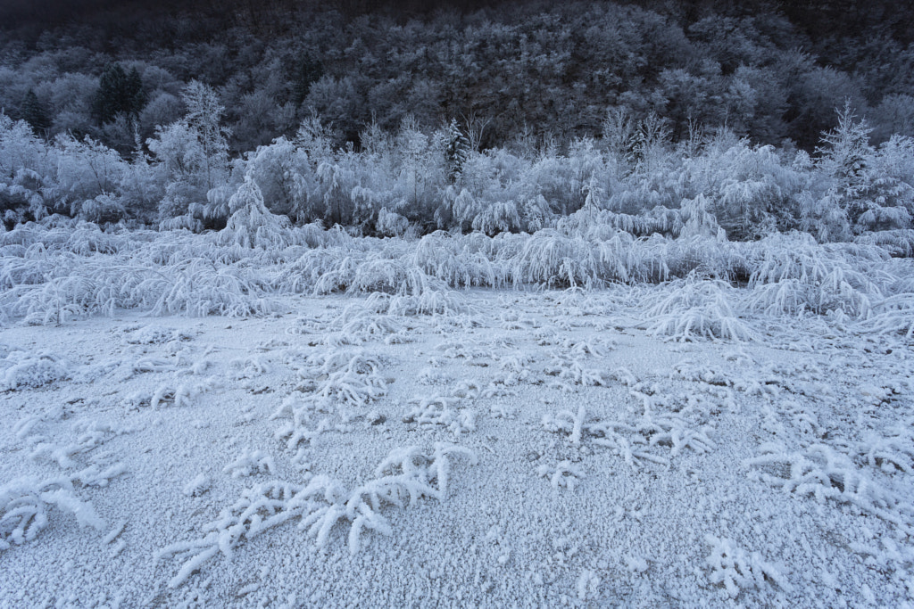 Frozen Dried Up River by Jure Batagelj on 500px.com