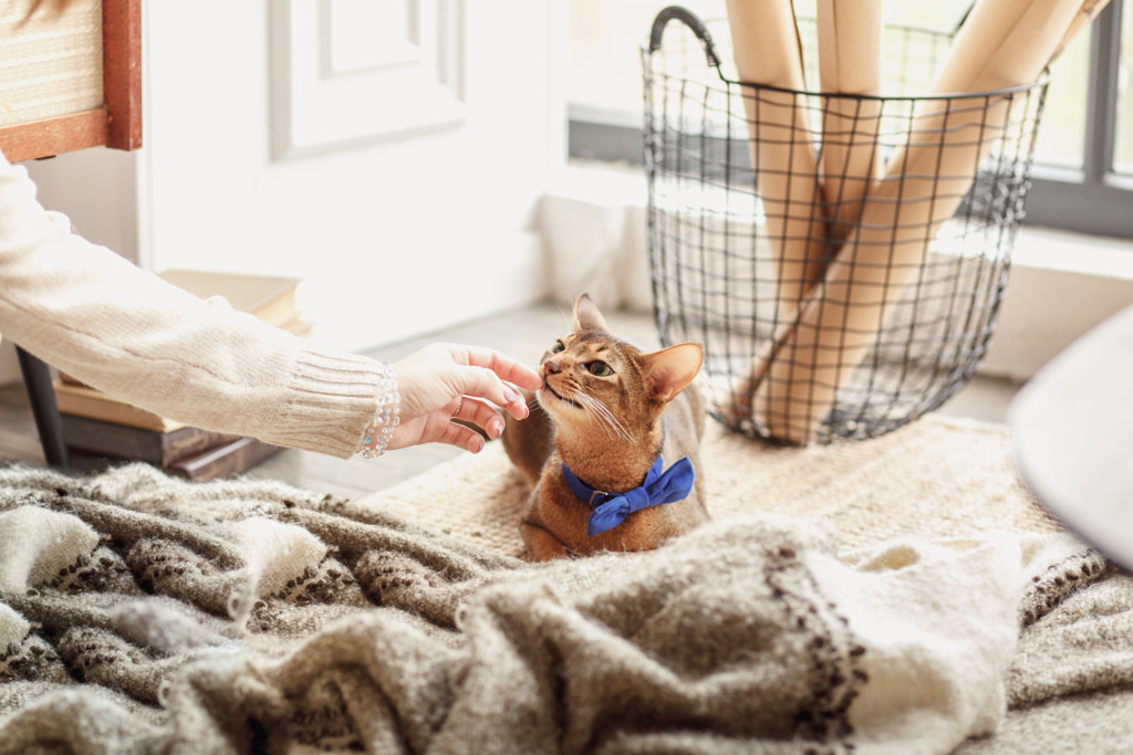 Fluffy touch by Denis Ganenko on 500px.com