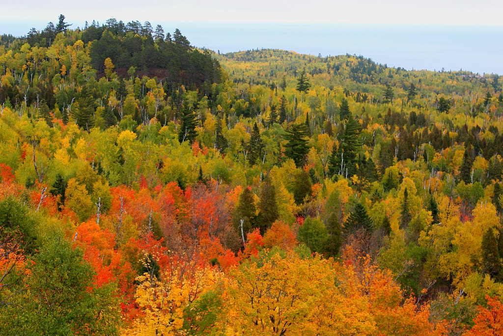 Fall above Lake Superior by Branden Smith on 500px.com