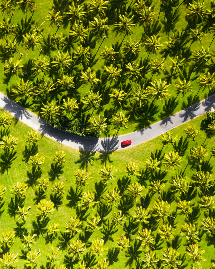 Road trip through a coconut paradise by florentrols on 500px.com