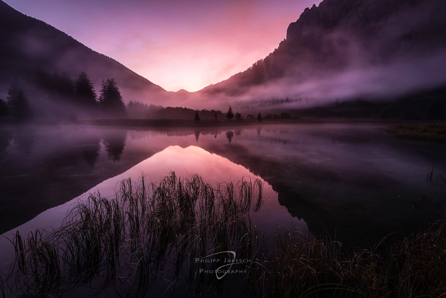 Enlightened Morning