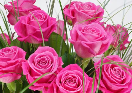 depositphotos stock photo bouquet of roses in pink