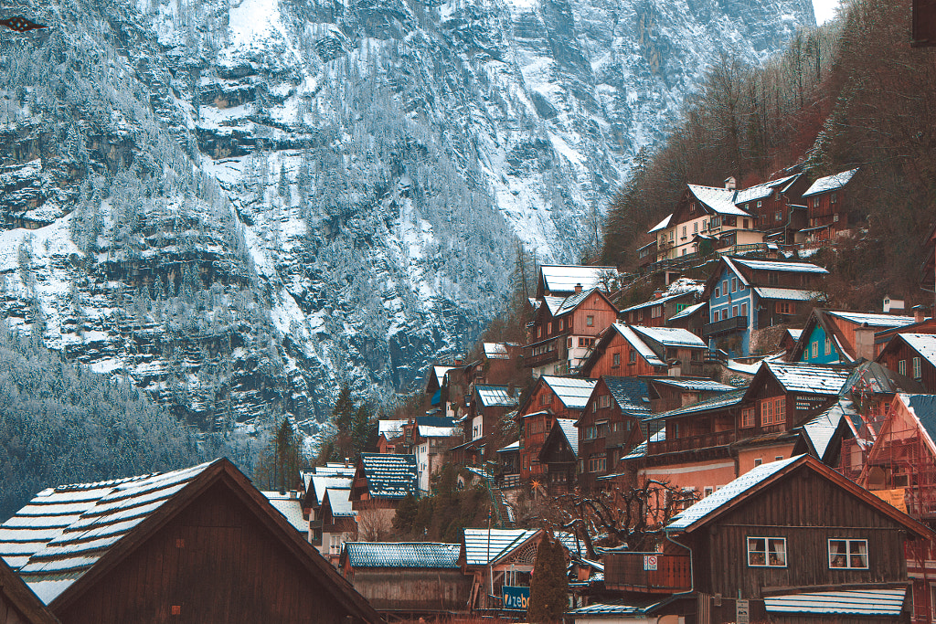 SNOW & WOOD by Marcelo Saavedra on 500px.com